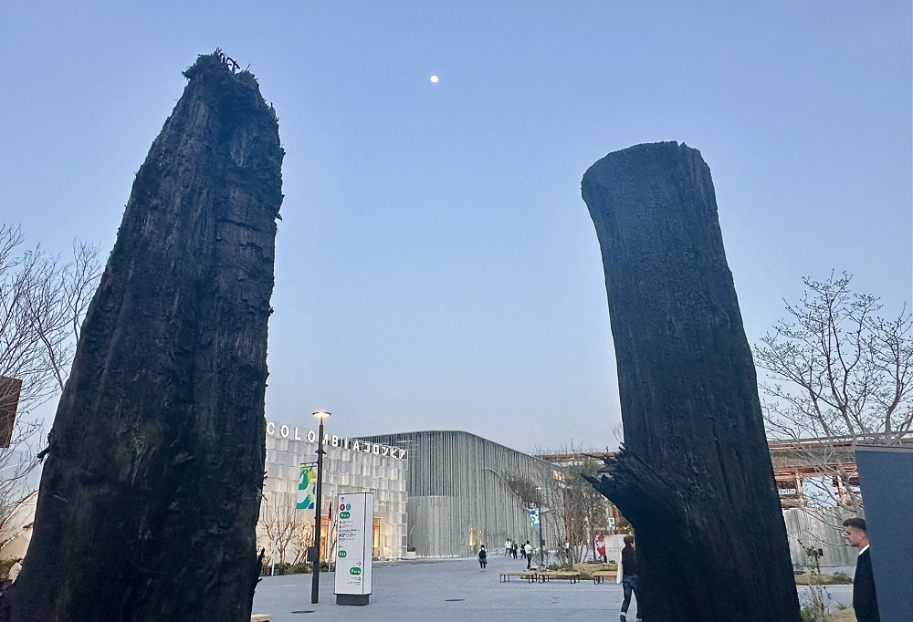 A unique pavilion at Osaka-Kansai is attracting interest with its seemingly ordinary yet extraordinary display of burned trees in a grassy field. (ANJ)
