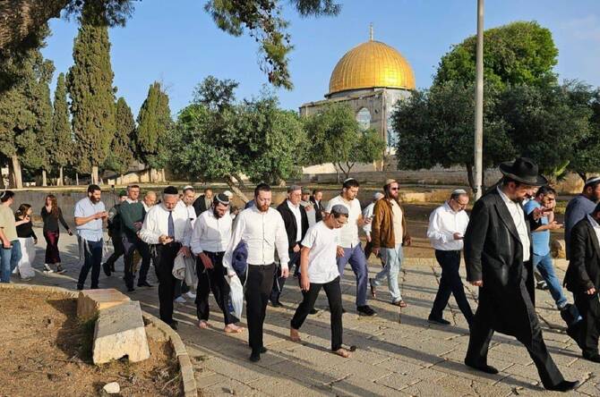 Dozens of Israeli settlers stormed Jerusalem's Al-Aqsa Mosque compound on Thursday. (WAFA)