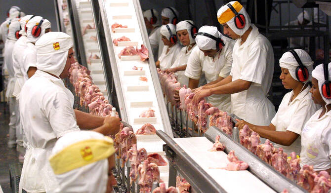 Jaguafrangos chicken process plant employees work on the poultry export line in Londrina, Parana, southern Brazil, 29 January, 2004. (AFP file photo)