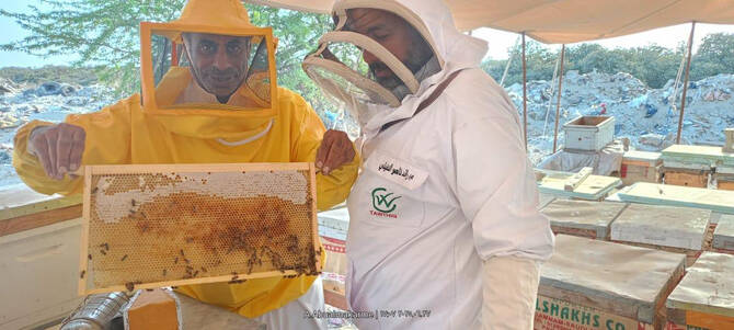 Mansour Al-Mgaslah, beekeeper and supervisor of the Mangrove Honey Production Initiative, showcasing fresh honey straight from the hive. (Supplied)