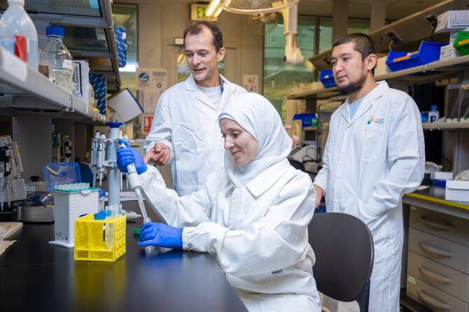 The study was carried out by King Abdullah University of Science and Technology, Tufts University and the Japan Institute for Health Security. (Supplied)