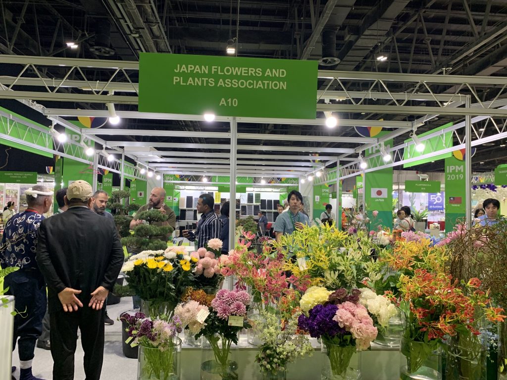 同協会のレパートリーの一部は、中東をターゲットとした日本の花と庭木だった。（アラブニュース）