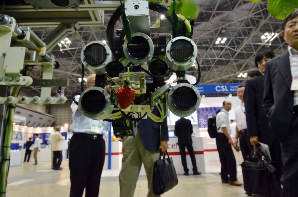 日本の農業機械製造業者シブヤ精機と国立研究開発法人農業・食品産業技術総合研究機構は、2013年9月25日に東京で開催された年に1度の自動認識総合展で、熟したイチゴを摘むためのロボットを展示した。（資料写真/AFP）