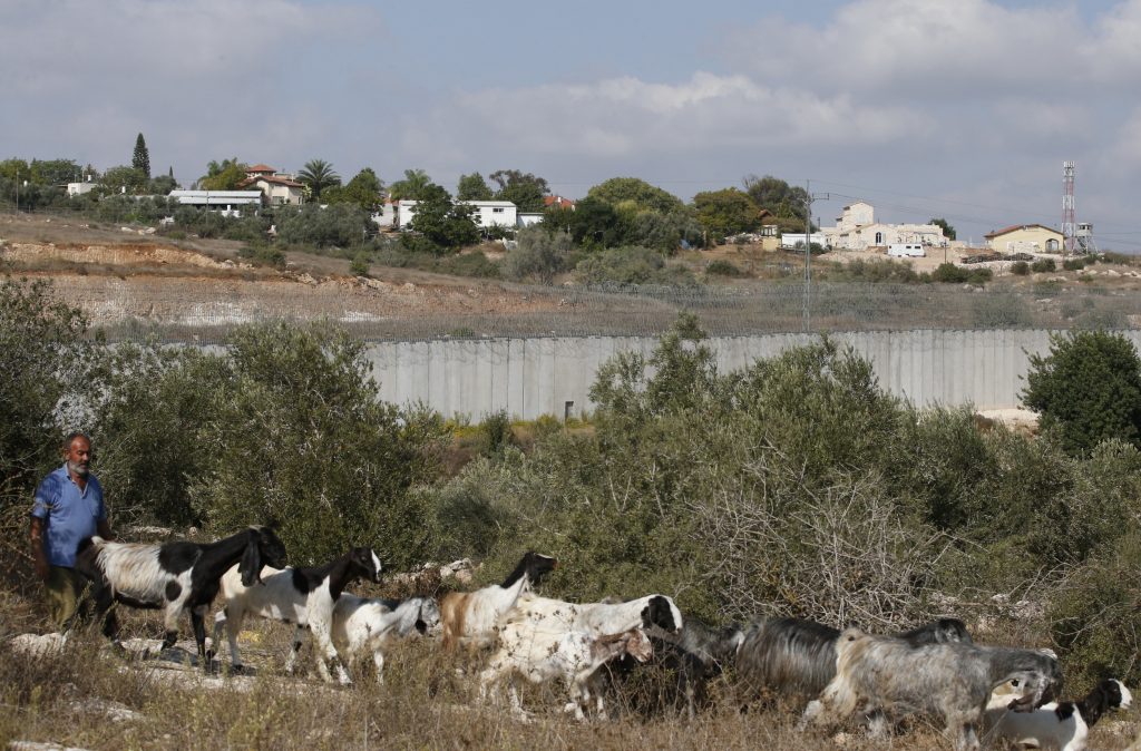 ベドウィンの羊飼いは、イスラエルの論争の的となっている分離障壁の前で羊の群れと一緒に歩きます。背景には、ヘブロン近くの占領された西岸の南にあるパレスチナのドラ村の郊外にあるシェゲブのユダヤ人入植地があります2019年10月19日 (AFP file)