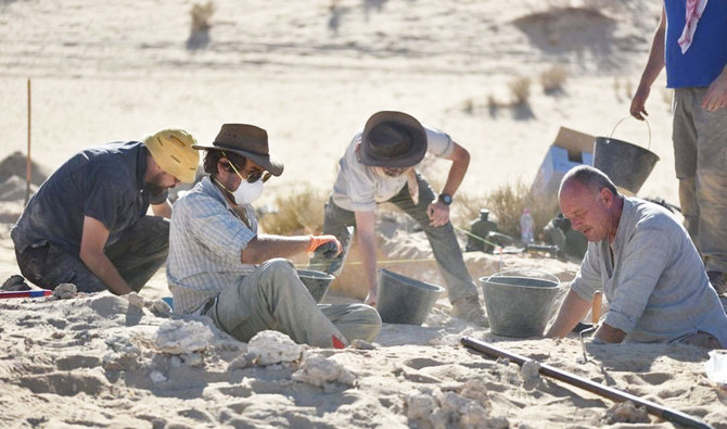 この結果は、アラビア砂漠の厳しい環境が化石形成に影響を与え、その外観を変化させたことを示していた。（SNS）