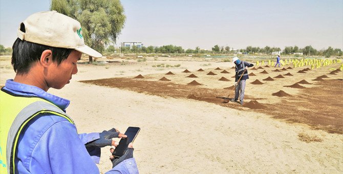 国際塩水農業研究センター（ICBA）の目標は、持続可能なネットワークの構築である。エジプトの限界環境においても農家のコミュニティーが起業家精神を発揮している。（ICBAによる写真）