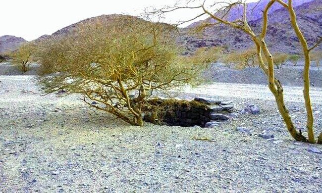 Hamdan Al-Harbi氏のTloubの井戸。（写真：Mohammed Al-Maghthawi）