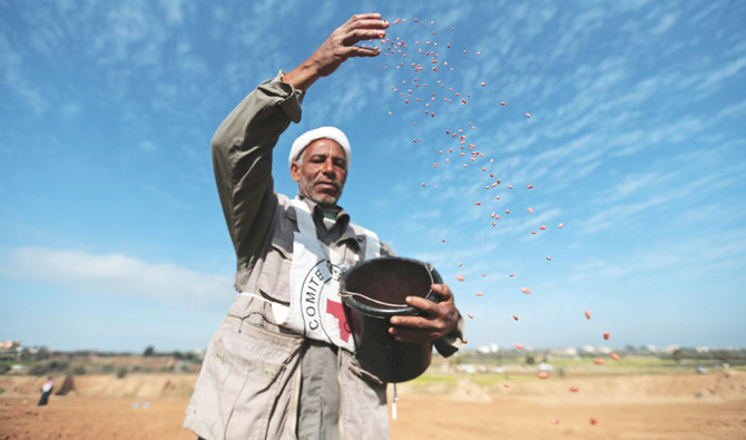 赤十字社の支援の下、ガザ地区中心部のイスラエルとの国境付近の農地で小麦の種を蒔くパレスチナ人農民。（ロイター）