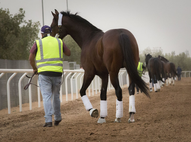賞金総額2920万ドルのサウジカップを控え、サウジアラビアに到着した獲得賞金総額1750万ドル以上の12頭の米国競走馬の一団が、木曜日、初めてリヤドのキングアブドゥルアジズ競馬場を訪れた。その中にはエンゲージの姿も見られた。（モハメッド・アルシナイフィ）