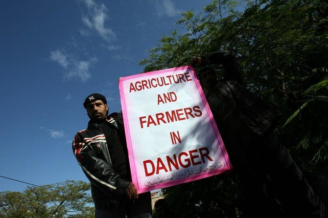 パレスチナの農業部門は、この1年間、イスラエルの封鎖や越境貿易に対する規制に苦しんできた。（AFP通信資料写真）