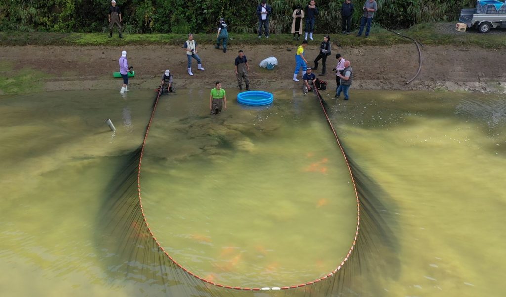 Koi Water Barn Dubaiの創設者によると、このセンターは「隠れた宝石 」であるという。（提供写真）