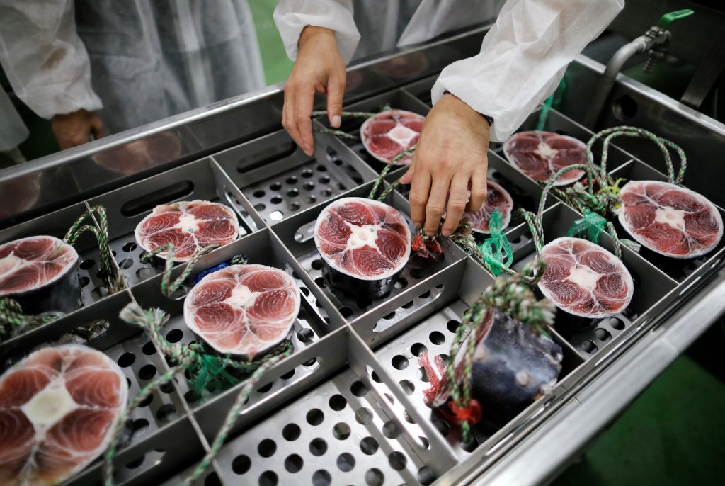 三崎恵水産でマグロを買い付け中のイシイ・シンゴが、TUNA SCOPEを使ってみせてくれた。(File photo/ Reuters)