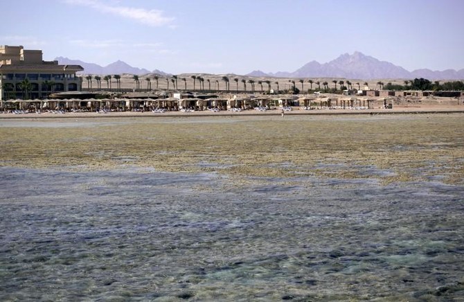 サール・ハシーシュの紅海リゾートの干潮のビーチでリラックスする観光客、エジプト・ハルガダ、2020年7月8日（ロイター通信）