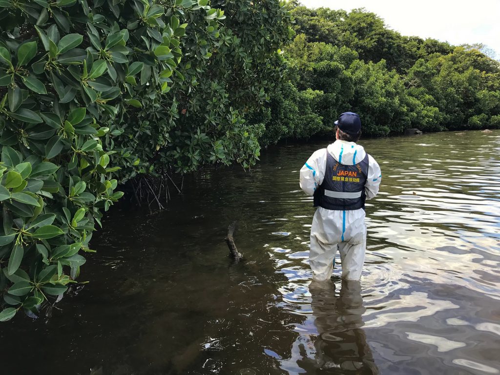モーリシャスのマングローブが形成する沼地で重油漂流を確認するJICA専門家。 （AFP）