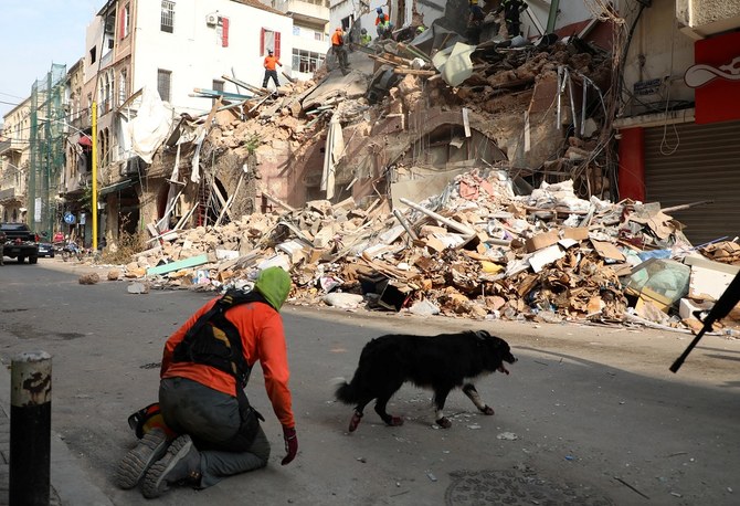 上写真―ベイルート港湾地区で発生した大爆発により損害を受けた建物のがれきの近くを歩く救助犬。（ロイター）