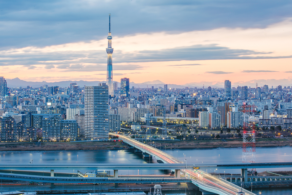 日本はまず2016年に行動計画を作成する意向を表明し、2018年には現状把握のため政府主導による調査を実施した。（シャッターストック）