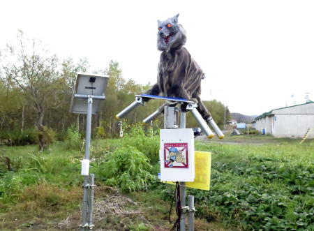 熊や害獣を検知できるセンサーを搭載したロボット「モンスターウルフ」は、滝川市の郊外でますます危険な存在となっている厄介者の熊を追い払うために導入された。(ロイター)