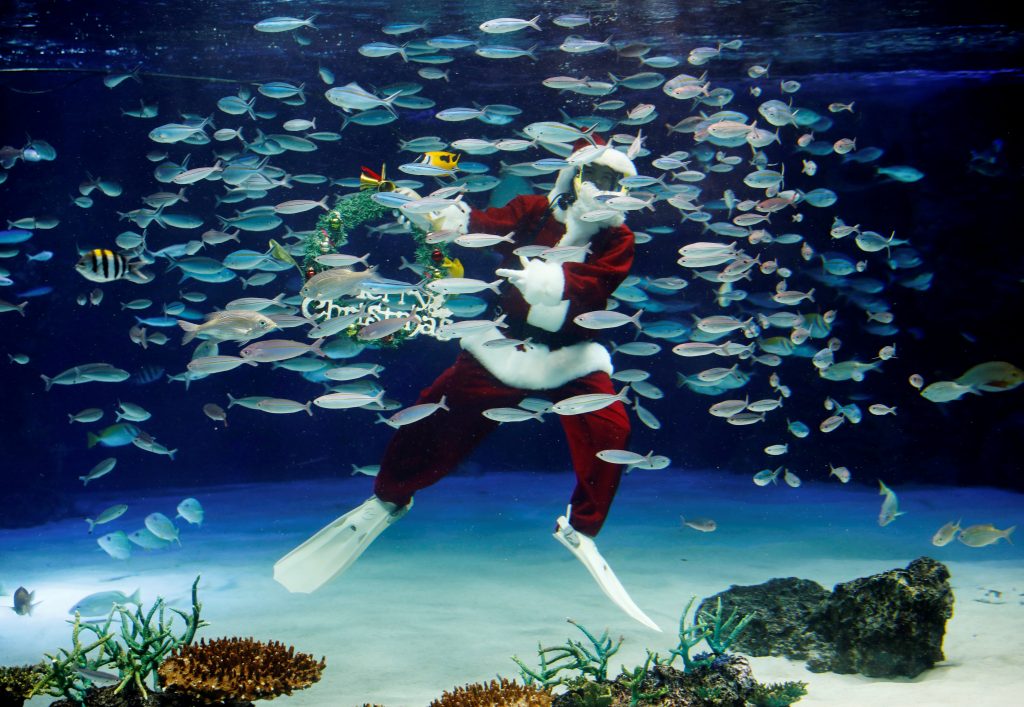 コロナウィルス感染症（COVID-19）が大流行する中、東京のサンシャイン水族館でクリスマスを祝う水中パフォーマンス中に、サンタクロースの衣装を着たダイバーが大きな水槽の中を泳ぐ。2020年12月4日撮影。（ロイター）