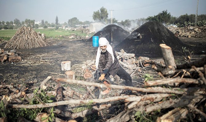 ガザ地区北部のジャバリヤの町にある伝統的な木炭の生産地で、チェーンソーを使って木を切るパレスチナ人男性。（AP通信）