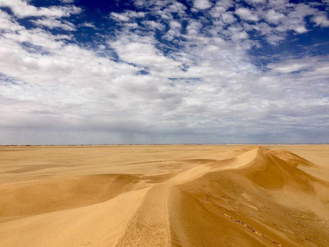豊かな社会的伝統や砂漠での生存スキルを誇るベドウィンは観光客にとって大きな魅力だ。 （SPA）