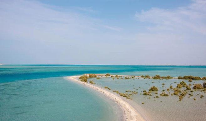 また、今回の活動はサウジ環境週間の一環として行われた。（Getty Images）