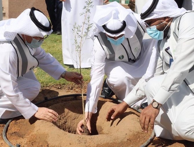 キャンペーンは、サウジアラビアの環境に適応し、灌漑の必要度も限られている在来樹種を植えることに注力したものだった。（提供写真）