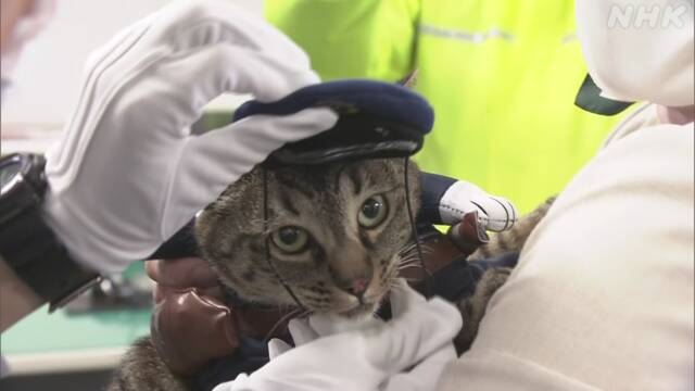 ココには任命書が授与され、地域の安全への貢献を宣言した。(スクリーンショット)