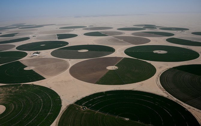 2020年1月13日に撮影された航空写真には、サウジアラビアのワディ・アル・ダワジールの緑のオアシスにある円形の畑が写っている。(AFP通信)