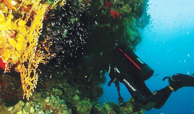 スキューバダイビングをするアリ・バクタオウル氏は、紅海の神秘を発見し、新たな場所を求めて何日も航海し、サンゴ礁の美しさを目の当たりにする。（提供）