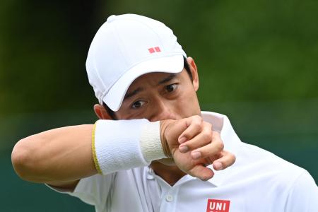 錦織 圭 (AFP)