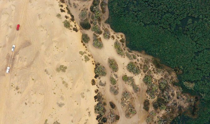 アル・アハサの名は、ヤシの木々やそれがもたらしてくれる木陰、そしてその実であるナツメヤシから来ている。昔からこの地域は近郊の砂漠に比べて緑が多い。（SPA）