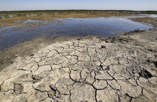 灼熱の熱波で燃えるように暑いイラクの夏、農民と牧畜従事者は家畜、農場、そして暮らしそのものを殺してしまう深刻な水不足と必死に闘う。（ファイル/AFP）