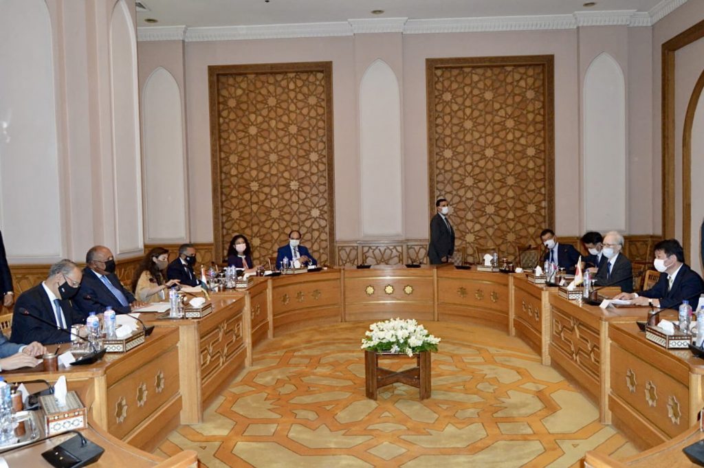 会談は両国の代表団を前にして、カイロで開かれた。（ANJP）