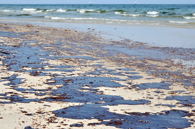 新たな規則では、岩石、小石、海砂、海底堆積物の除去が禁止される。（資料写真）