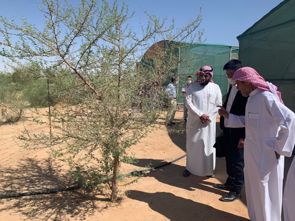 三宅公使がブライダのアル・カシム国立公園を訪問。(在サウジアラビア日本国大使館/ツイッター)