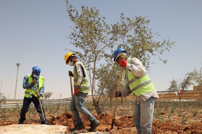 サウジアラビアの首都リヤドの高速道路脇で植樹を行う作業員。（Getty）