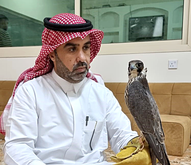 スルタン・鷹センターのオーナー、サード・マロウ・アルダフマシ氏が所有する最も高価な鷹の一つを披露している。サウジアラビアのオークション数が増えることを希望している。（提供）