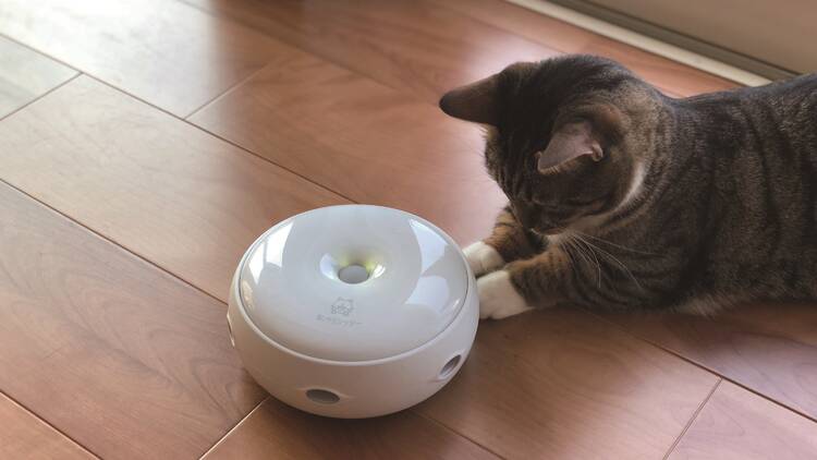 使い方は簡単、飼い主が不在の時でも猫の良い遊び相手になってくれる。(猫の友社)
