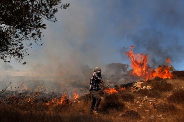 2020年10月16日、占領下のヨルダン川西岸地区ラマラ付近のオリーブ園。イスラエル軍が催涙ガス弾を発射した後、草が燃える様子。（ロイター）