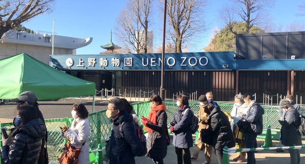 6月に東京の上野動物園で生まれた双子(兄のシャオシャオと妹のレイレイ)は、かわらしく遊ぶ姿を収めようと客がスマホをかざす中、第一歩を踏み出した。((ANJ/ Pierre Boutier))
