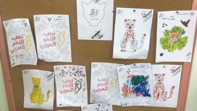 アル・ウラー第2公立幼稚園やその他の学校では、ヒョウの写真とともに「アラビアヒョウ大好き」などの好意的なメッセージをツイートしている。（提供写真）