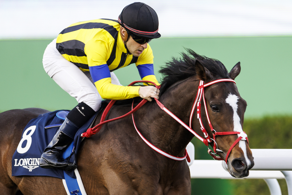 リヤドで開催されたサウジカップ2022のネオム・ターフ・カップを制し、日本馬のオーソリティに騎乗する日本在住のクリストフ・ルメール騎手。(ANJP写真)