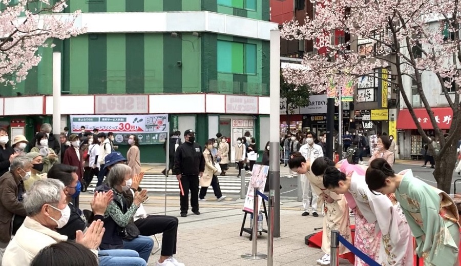 長野県から新宿区に寄贈された2本の桜の木の下で、人々は伝統音楽を聴きながら早咲きの桜を鑑賞した。(ANJP Photo)