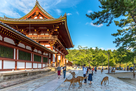 奈良市(Supplied)