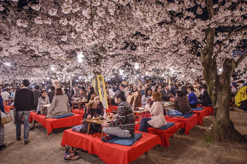 円山公園で行われる季節限定の夜桜祭りに参加し、春の桜を楽しむ群衆。（シャッターストック）