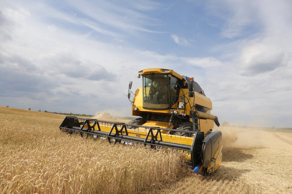 2019年7月5日。キエフから北にあるチェルニーヒウ地域のクラースネ村付近の畑で小麦を刈る収穫用コンバイン。（アナトリー・ステファノフ/FAO/AFP）