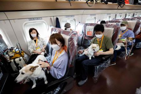 東京からリゾート地の軽井沢まで約1時間の移動中、愛犬を連れて新幹線に乗り込む乗客たち（2022年5月21日撮影）（AFP）