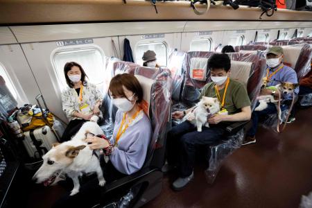 東京からリゾート地の軽井沢まで約1時間の移動中、愛犬を連れて新幹線に乗り込む乗客たち(2022年5月21日撮影)(AFP)