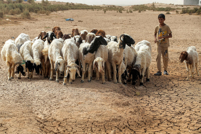 2022年5月20日、イラクのディヤラ州にある、水の枯れたハムリン湖に沿って歩く羊飼いの少年と羊の群れ。（AFP）