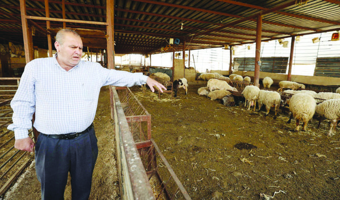 口蹄疫の大規模流行がヨルダン川西岸地区を襲った後、ワディ・アルファラア村にある自身の農場を見回るモハメド・バシールさん。（AFP）